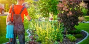 professional gardeners in dublin